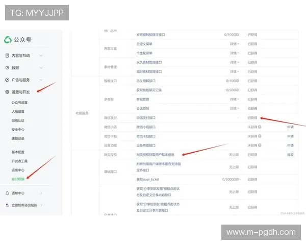 pggamesoft平台如何帮助开发者实现多平台游戏的快速部署与发布