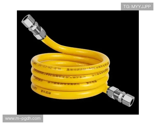 掌握PG电子技巧实现高分连续的实用技巧与策略详解