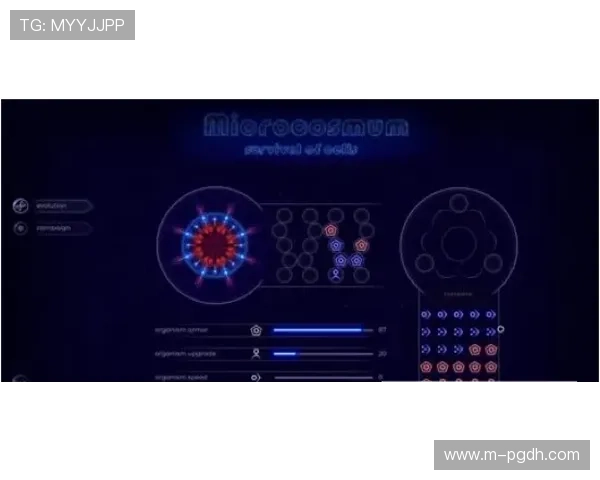 深入了解PG猿宇宙电子全站，掌握最新游戏资讯和电子产品购买指南