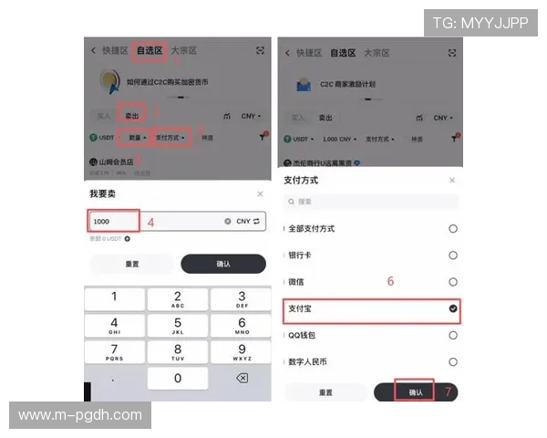 详细介绍PG森燊娱乐的支付方式与提现流程确保每一笔交易都安全便捷